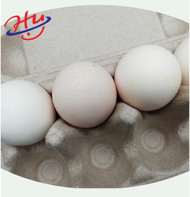 Factory direct sale 1000pcs/hour full Automation Egg Tray Machine Forming Machine