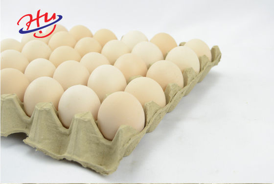 Automatic Egg Tray fruit tray coffee tray Pulp Tray Molding Equipment price
