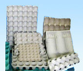 34KW Paper Egg Tray Making Machine 7000pcs/H For Wine Packs