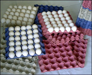 2000pcs/H Molding Paper Pulp Egg Tray Machine 153KW