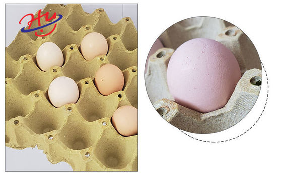 Biodegradable Mold Paper Egg Tray Making Machine 153KW