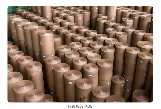 80GSM Kraft Cardboard Paper Making Machinery 1575mm