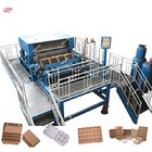 CE Egg Tray 4000pcs/Hr Paper Recycling Machine