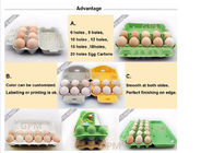 Egg Tray Egg Plate Thermocol Foam Food Container Production Equipment